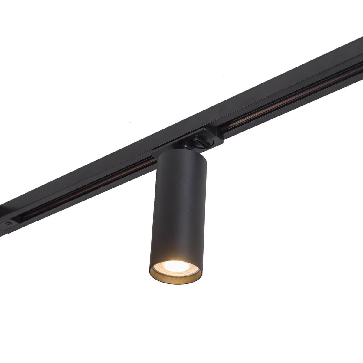 Светильник на шине Denkirs DK6202-BK