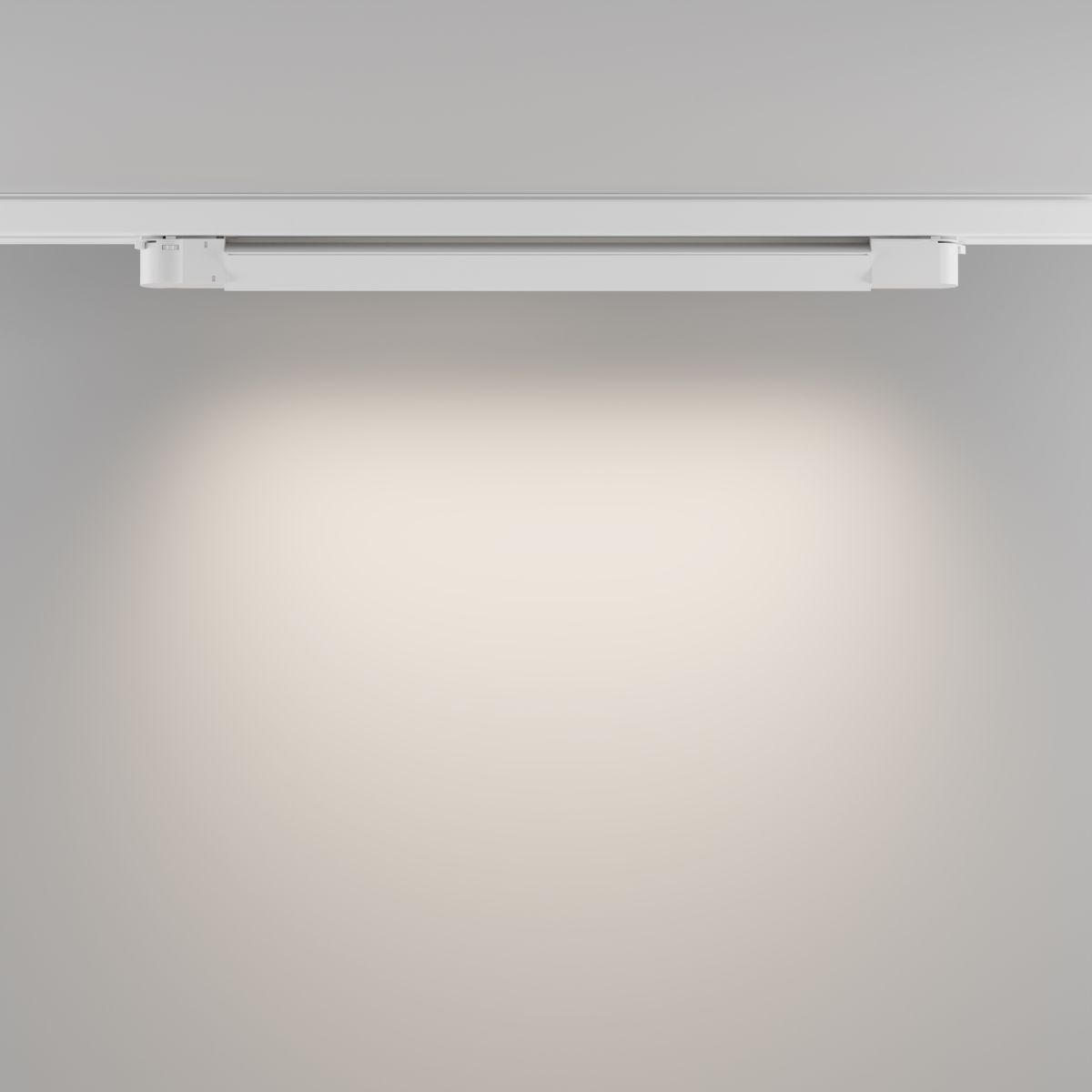 Трековый трехфазный светильник Maytoni Technical Basis TR196-3-20W4K-W(N)