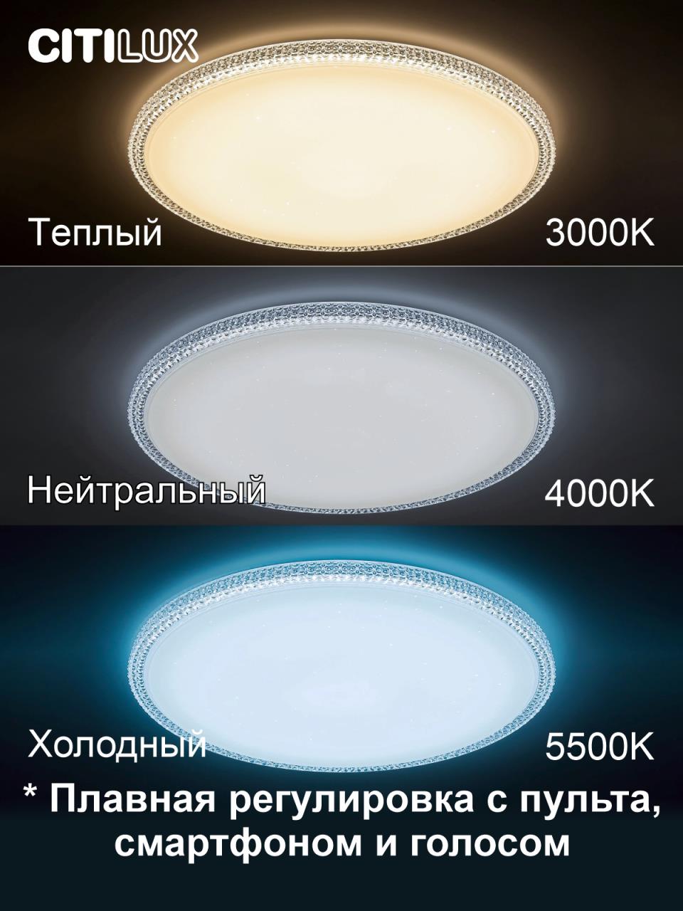 Потолочный светильник Citilux Альпина CL718A80G в Москве
