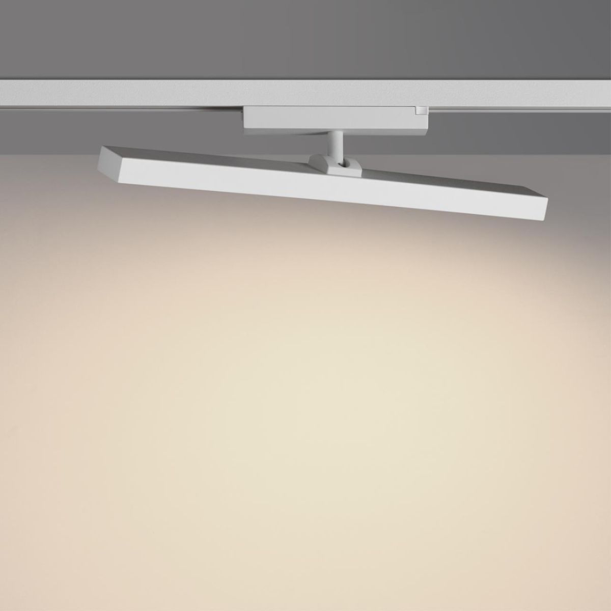 Трековый однофазный светильник с переключателем цв. температуры Novotech Port Stratus 359782