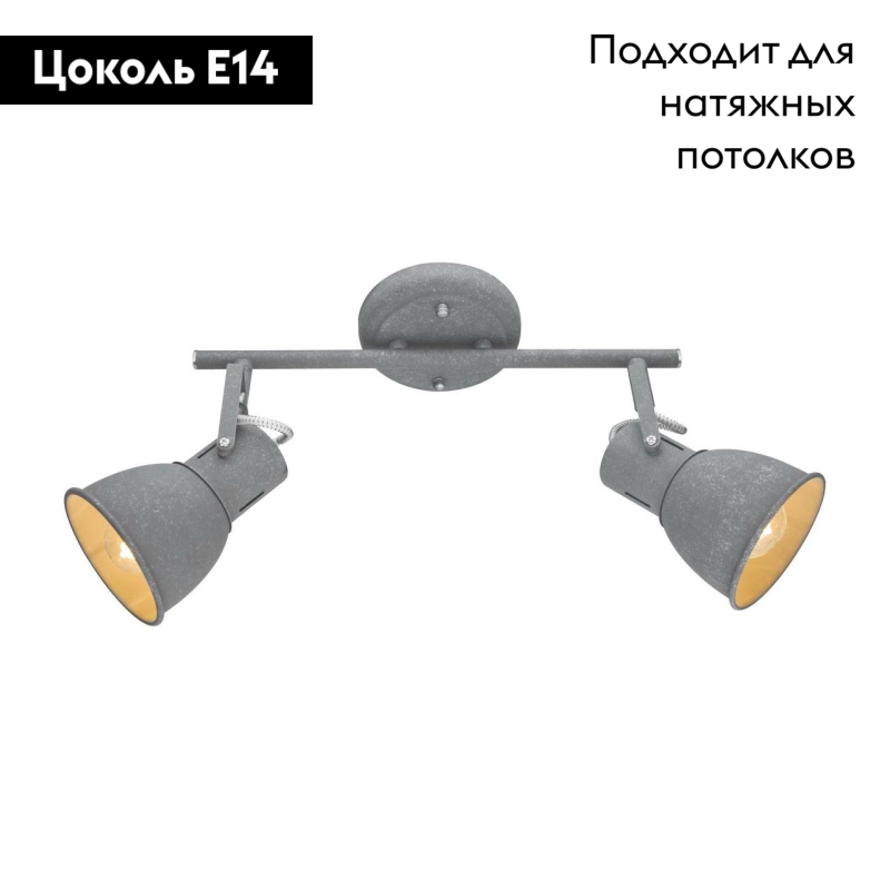 Спот Arte Lamp A1677PL-2GY