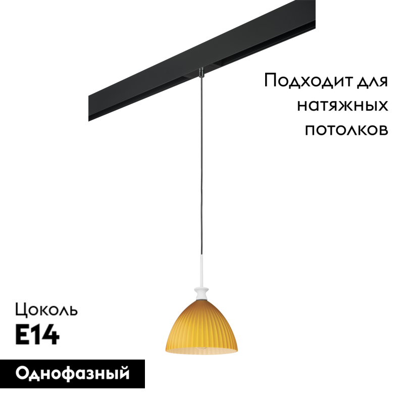 Трековый светильник Lightstar Agola PRO810023 (810023+595007)