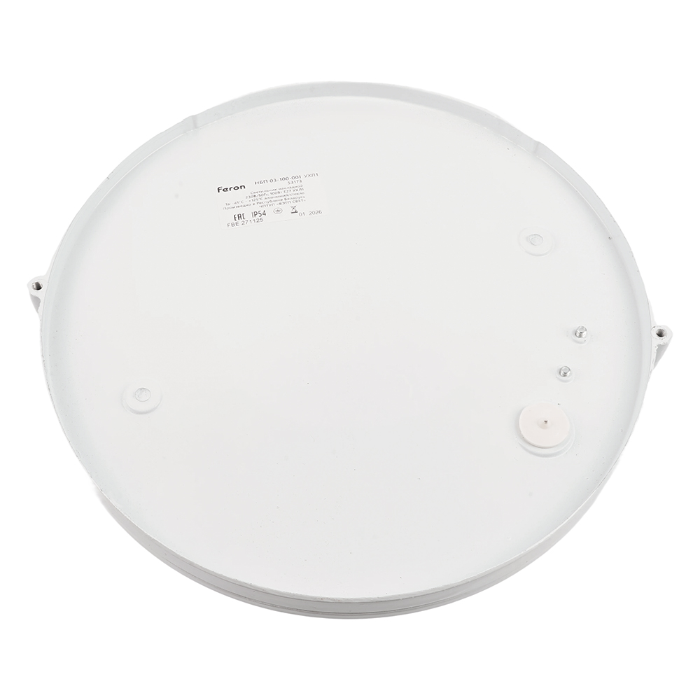 Накладной светильник Feron НБП 03-100-001 53173