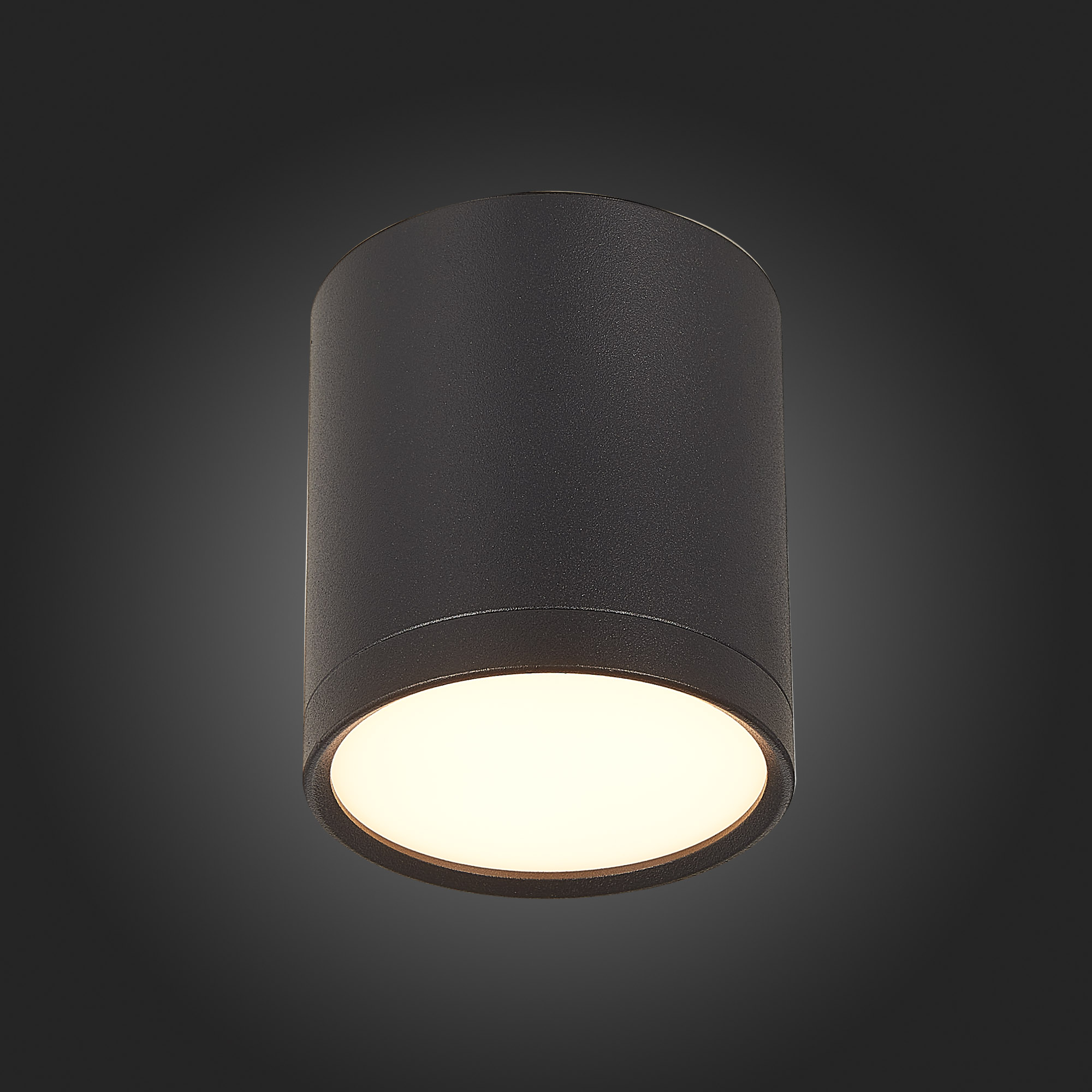 Потолочный светильник ST Luce Rene ST113.432.05 в #REGION_NAME_DECLINE_PP#