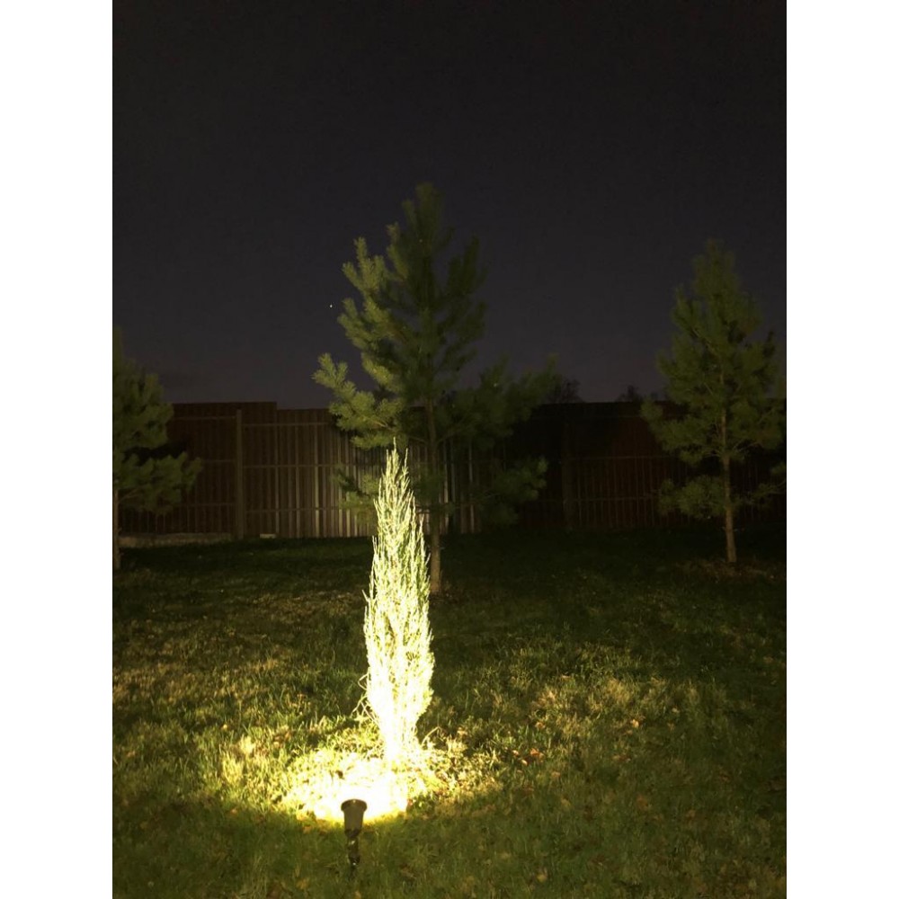 Ландшафтный светильник Covali FL-33005