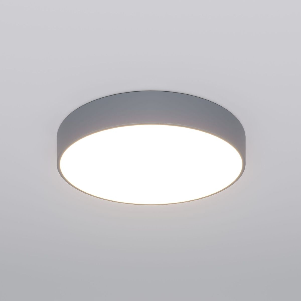 Потолочный светильник Eurosvet Entire 90319/1 серый a062834
