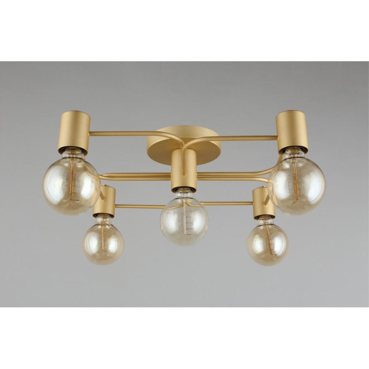 Потолочная люстра Aployt Elison APL.911.07.05