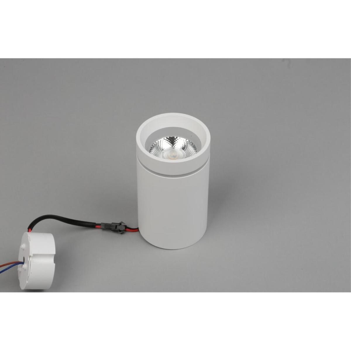 Потолочный светильник Aployt Edda APL.0053.09.10