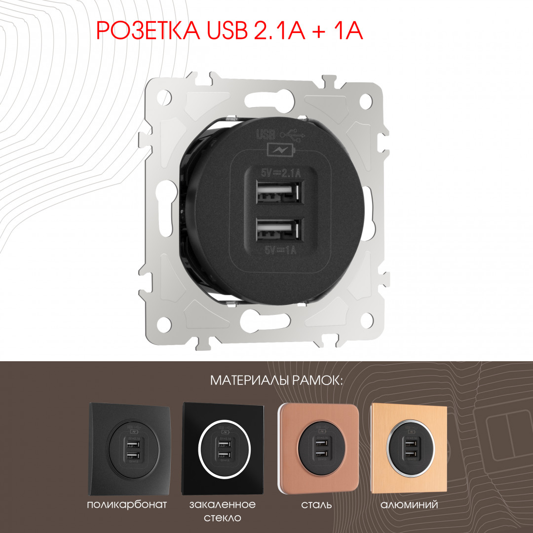 Розетка USB 2.1А+1А Arte Milano 202.46-1.black