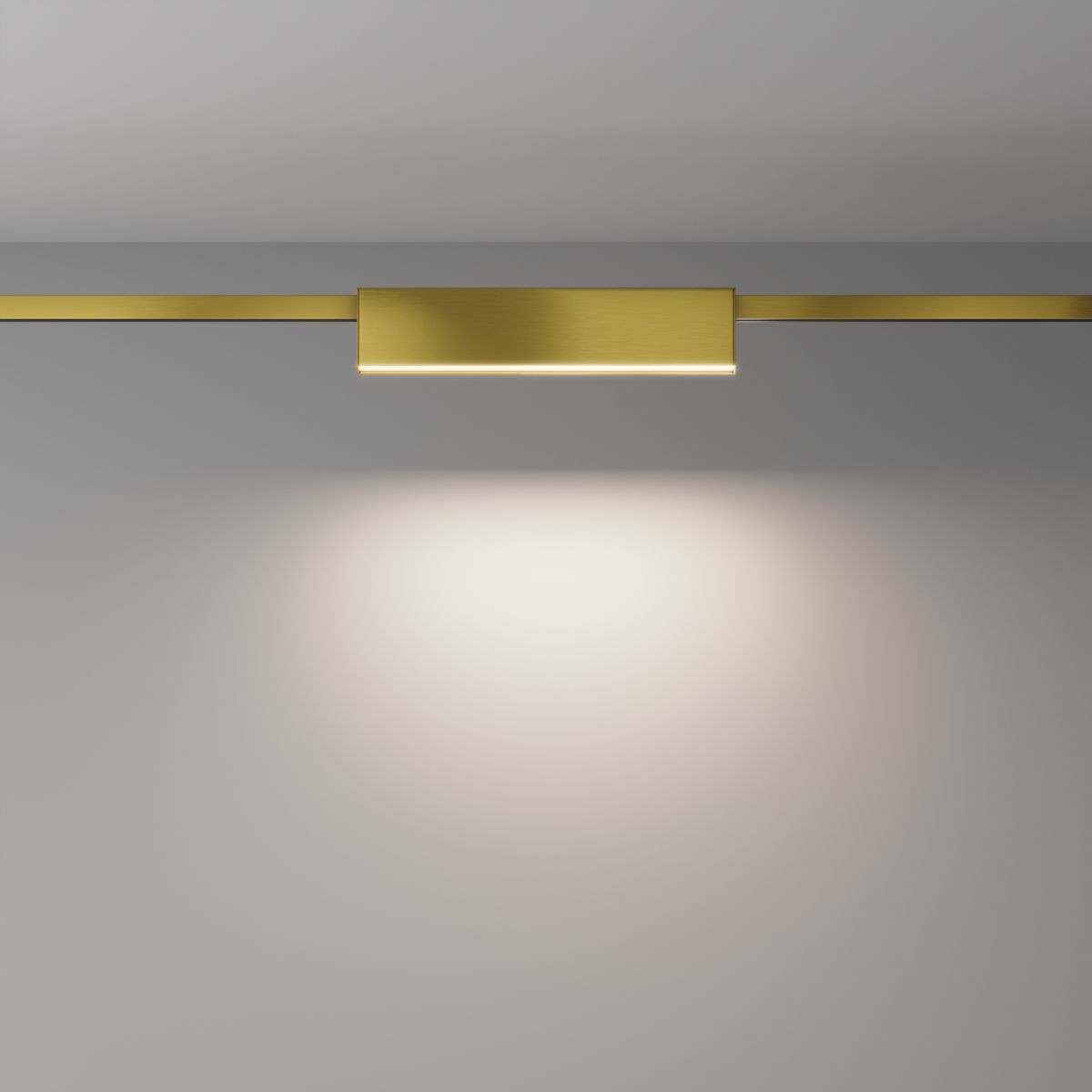 Трековый магнитный светильник Maytoni Basis TR151-1-18W4K-BS