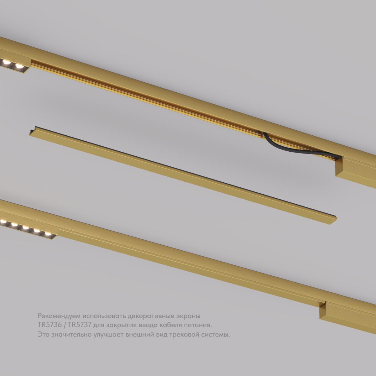 Декоративная заглушка желоба трека Denkirs Shine Base TR5737-SB