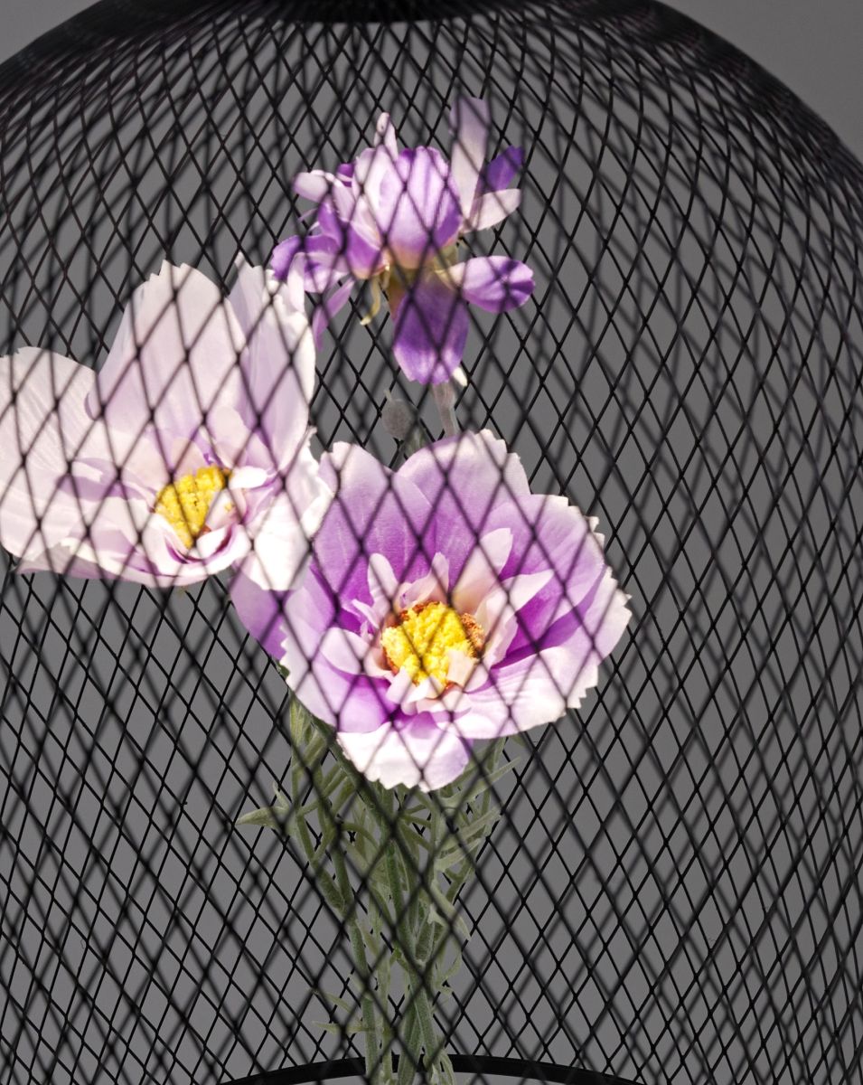 Подвесной светильник Moderli Ophelia V11875-PL