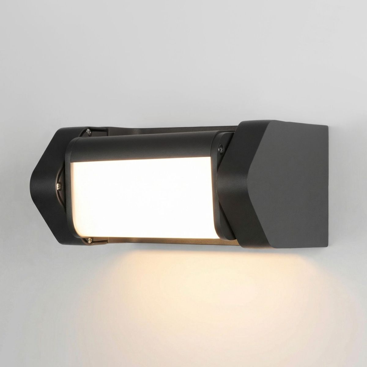 Уличный настенный светильник Elektrostandard DORS 35163/D черный 4690389219306 a072077