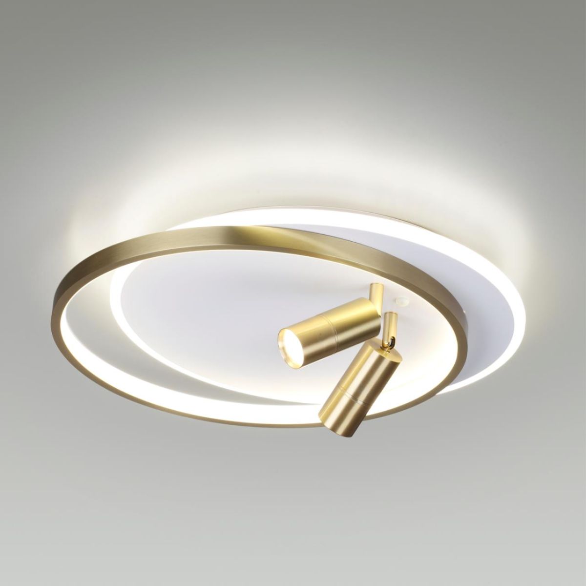 Потолочная led люстра Lumion Naoko 5603/63CL