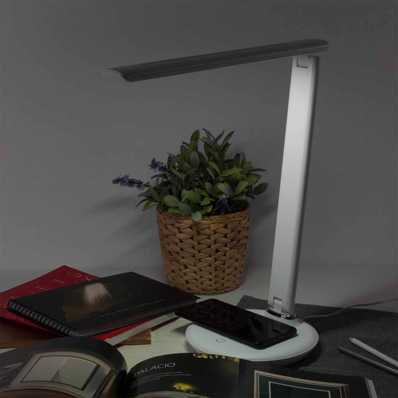 Настольная лампа Elektrostandard Brava белый TL90530 4690389147135 в #REGION_NAME_DECLINE_PP#