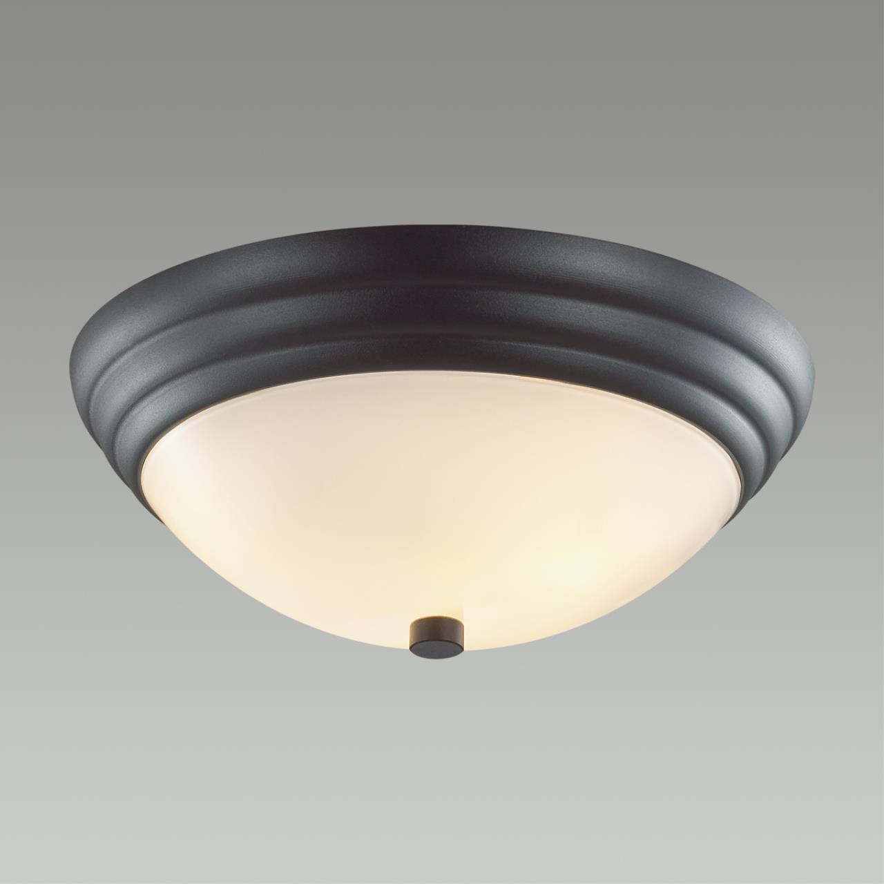 Настенно-потолочный светильник Lumion Vintage 5263/2C