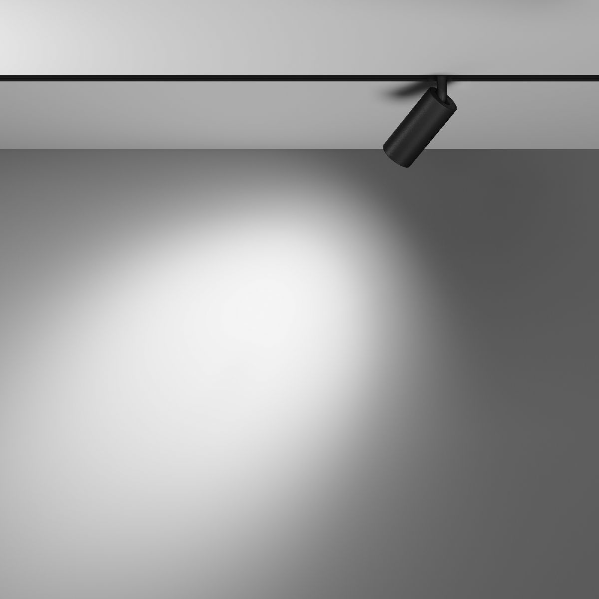 Трековый светодиодный светильник Maytoni Technical Focus Led TR032-2-5W4K-M-B