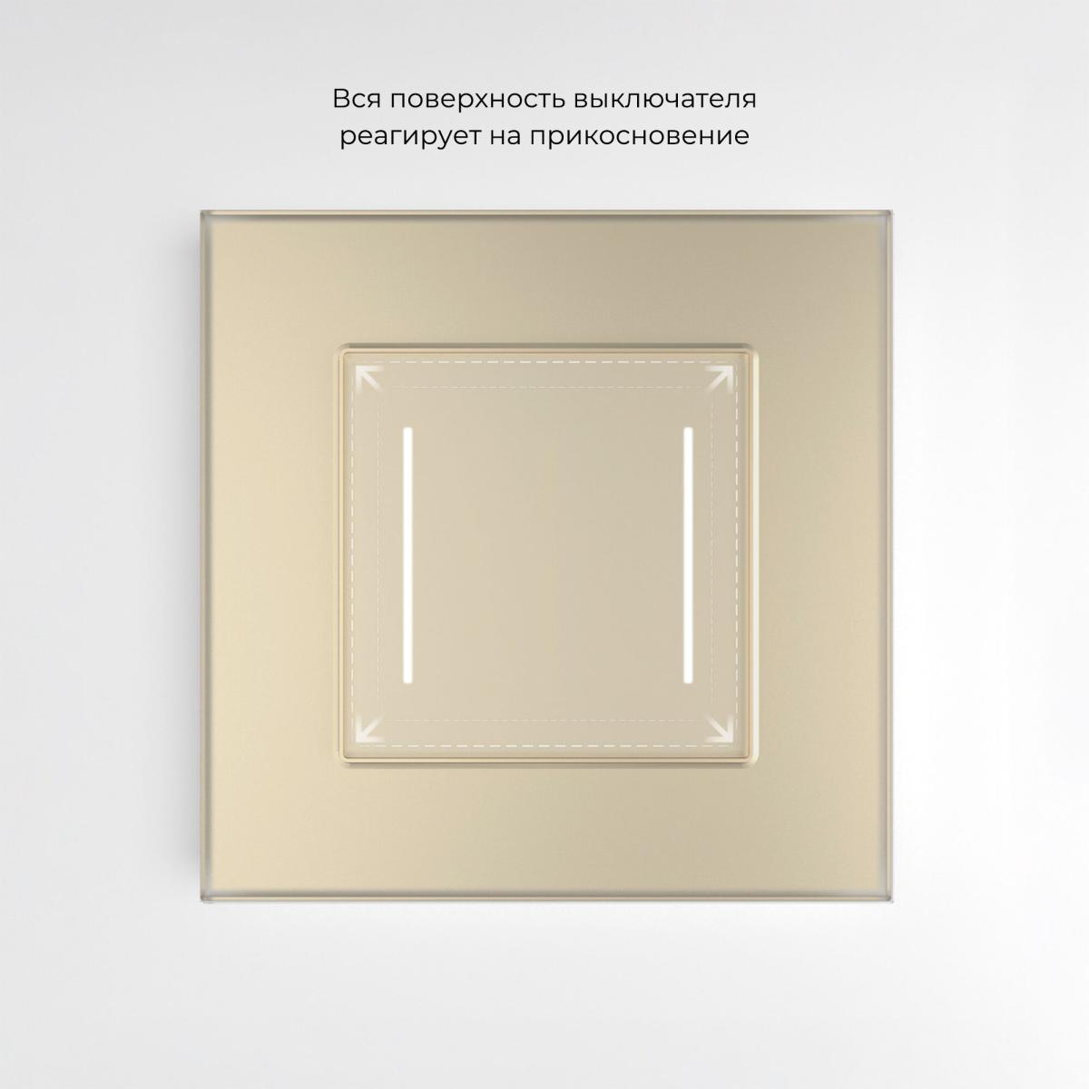 Умный сенсорный выключатель двухклавишный Werkel 4690389197970 W4523011 a064146