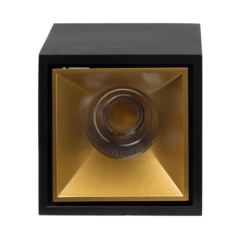 Влагозащищенный светильник LeDron KUBING Black/Gold