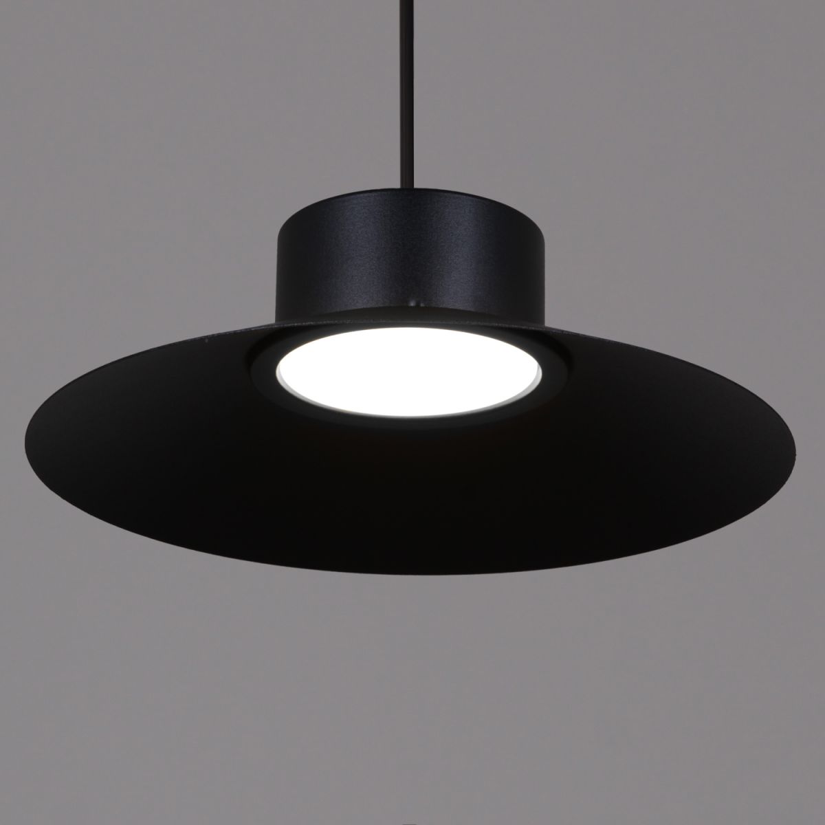 Подвесной светильник Reluce 40110-0.9-03A BK