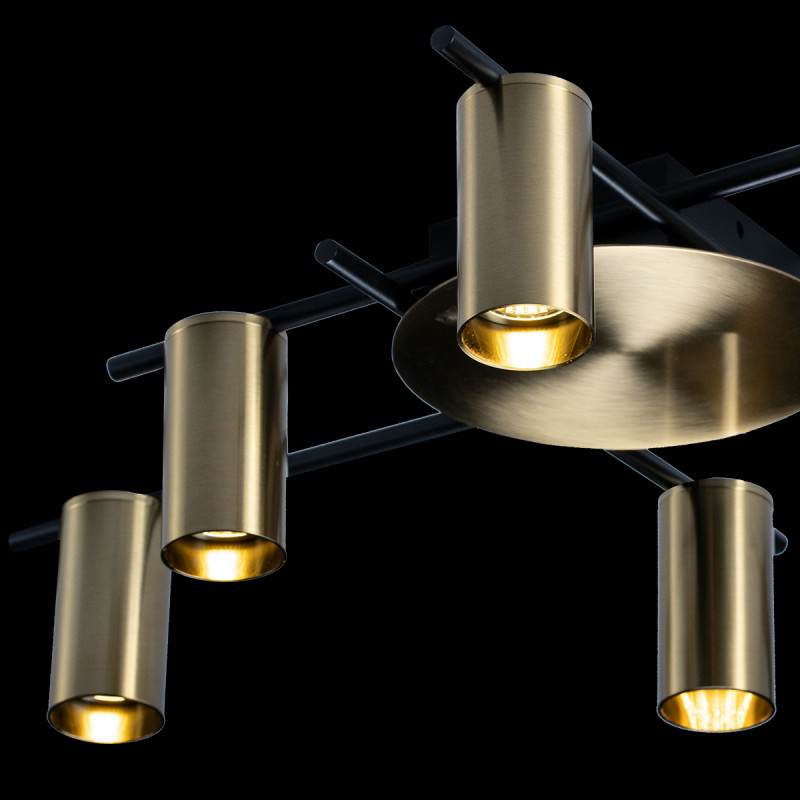 Потолочная люстра Loft IT Tribes 8120C-6