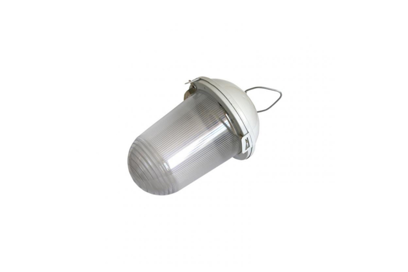 Подвесной светильник ЭРА НСП 02-100-001 Б0052017