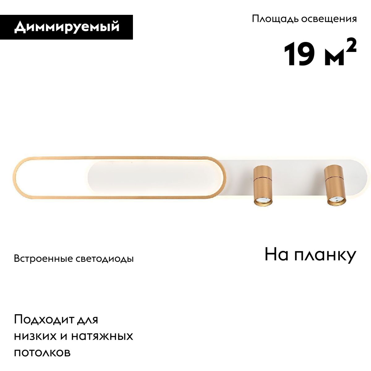 Настенно-потолочный светильник Favourite Planar 4075-2C