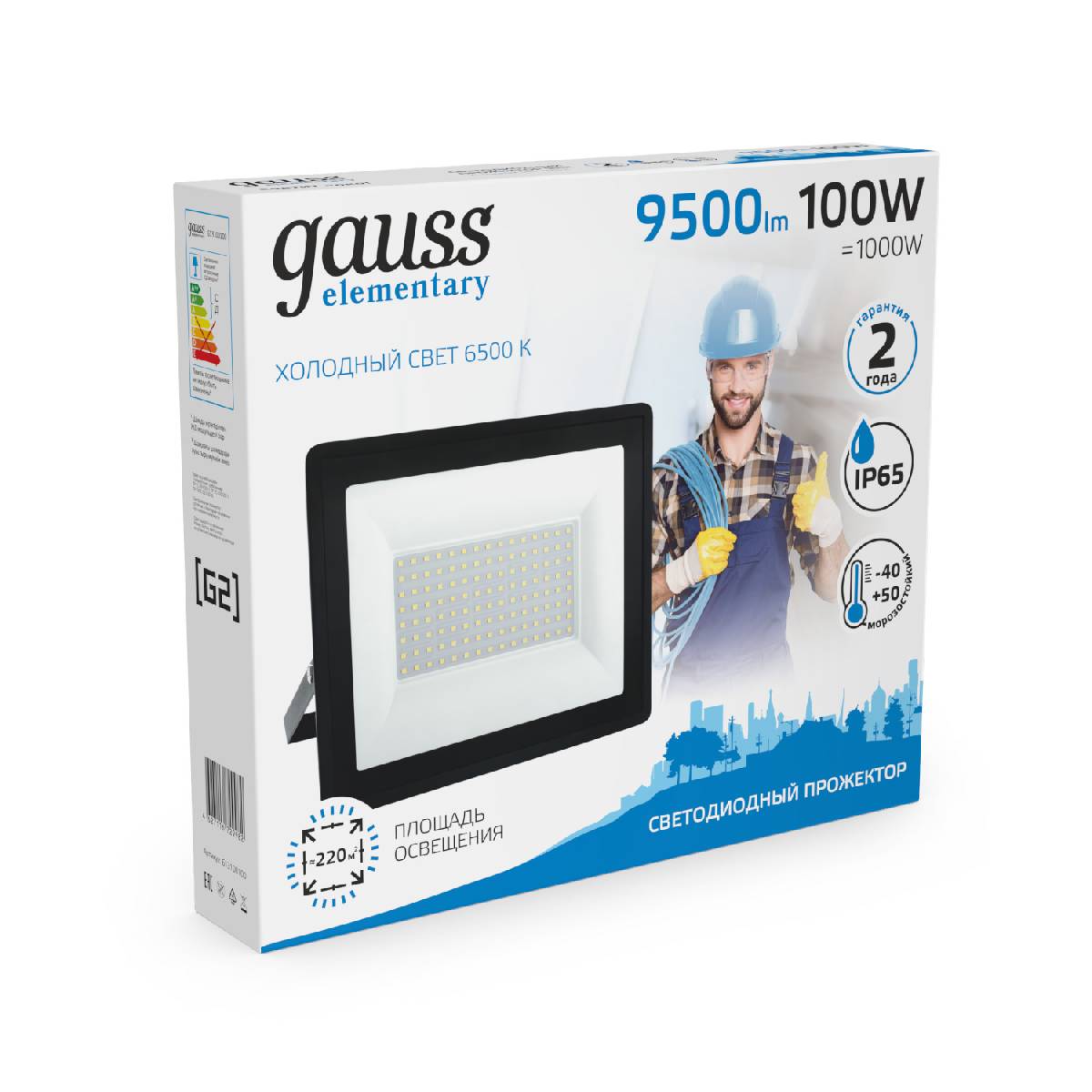 Прожектор светодиодный Gauss 100W 613100100