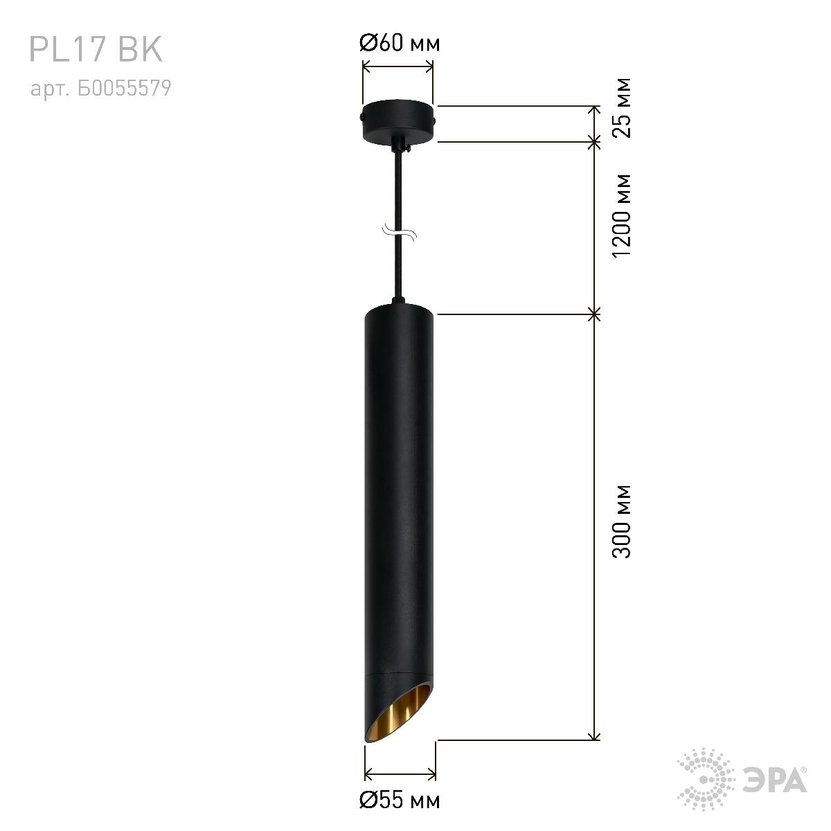 Подвесной светильник Эра PL 17 BK Б0055579