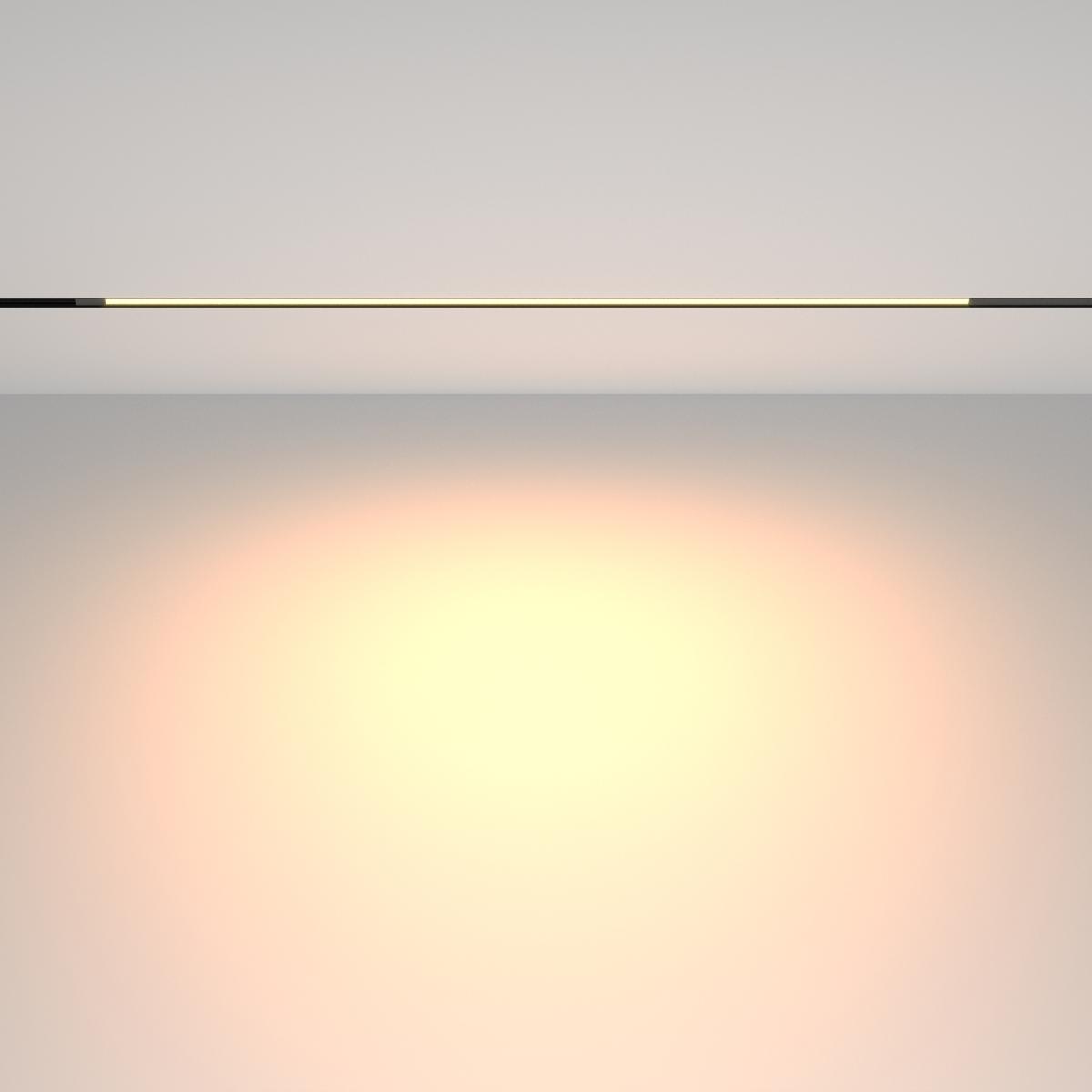 Трековый магнитный светильник Maytoni Technical Basis TR231-2-15W3K-B