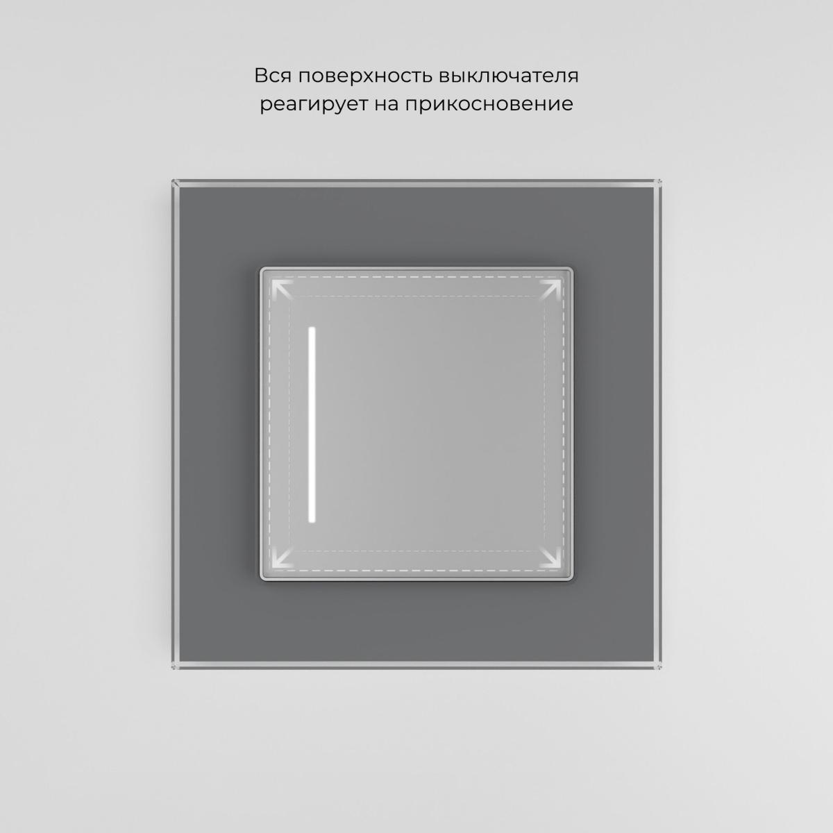 Сенсорный выключатель одноклавишный с подсветкой Werkel 4690389197987 W4512006 a063599