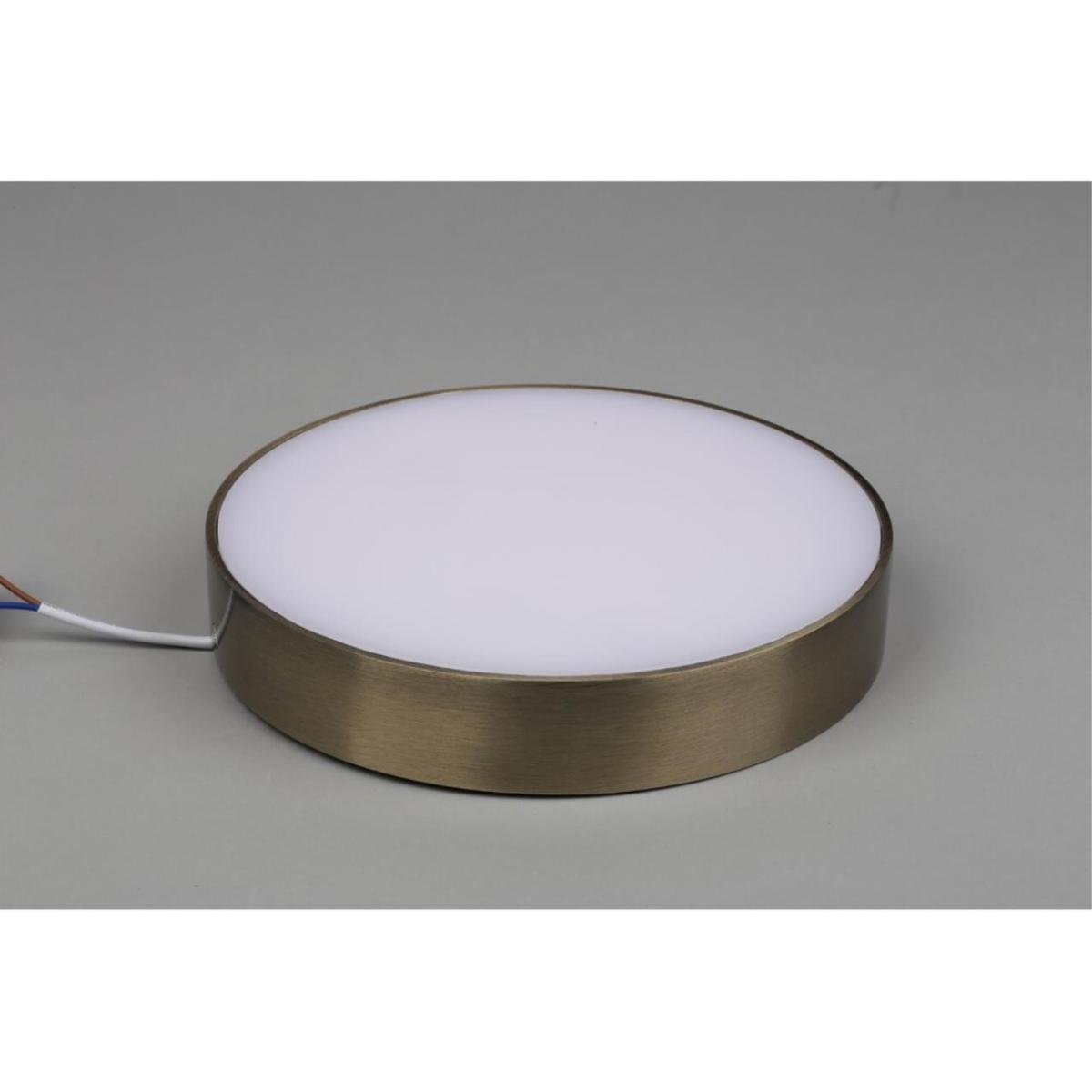 Потолочный светильник Aployt Evon APL.0114.29.24