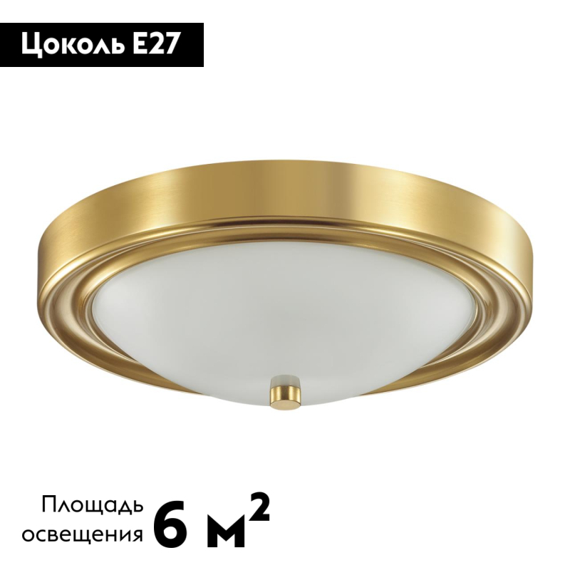 Настенно-потолочный светильник Lumion Vintage 5259/2C
