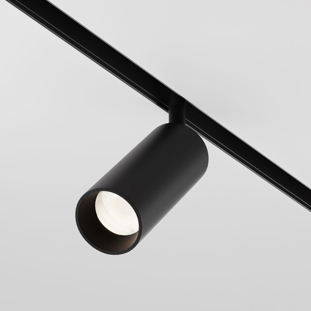 Трековый светодиодный светильник Maytoni Technical Focus Led TR032-2-12W4K-S-B