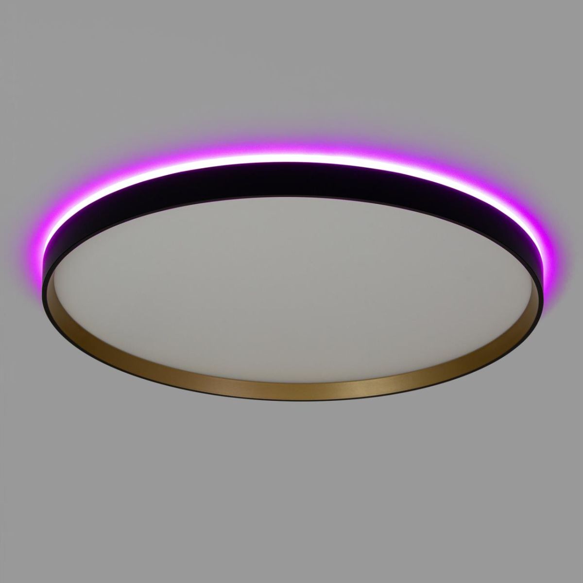 Потолочный led светильник Citilux Etalon CL750501R