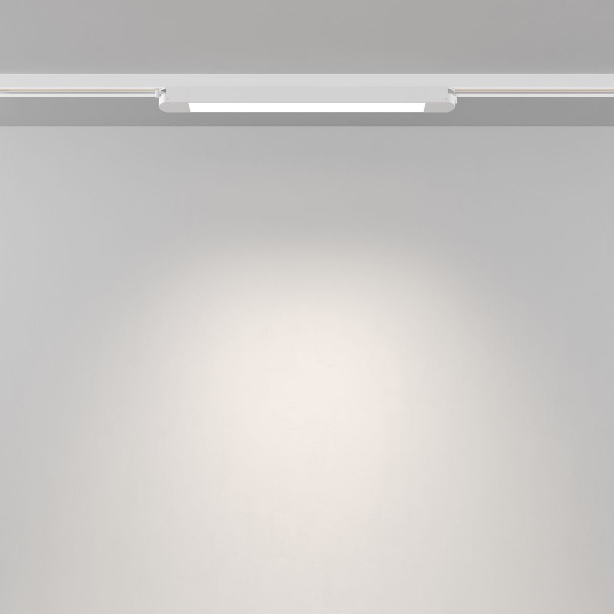 Трековый однофазный светильник Maytoni Technical Basis TR000-1-12W4K-W_1