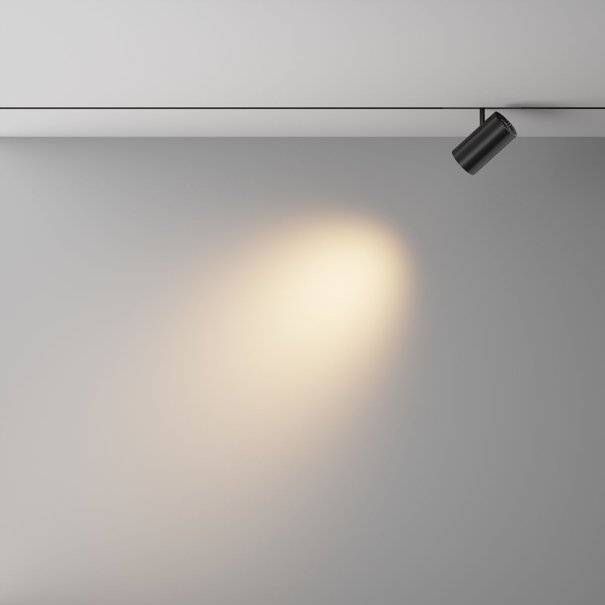 Трековый магнитный светильник Maytoni Technical Focus Led Exility X TR243-4-18WTW-DD2-B