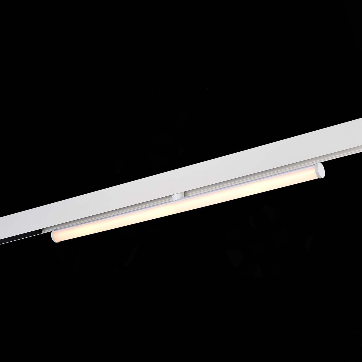 Трековый светодиодный светильник ST Luce Skyline 48 ST803.536.10