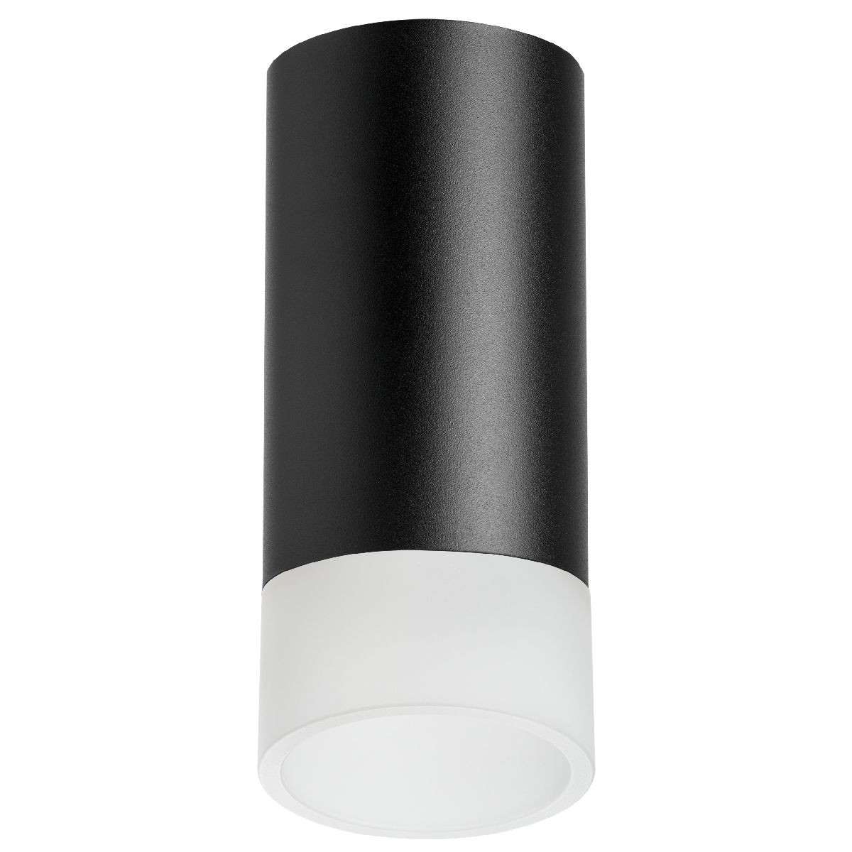 Накладной светильник Lightstar Rullo R43731 (214437+202431)