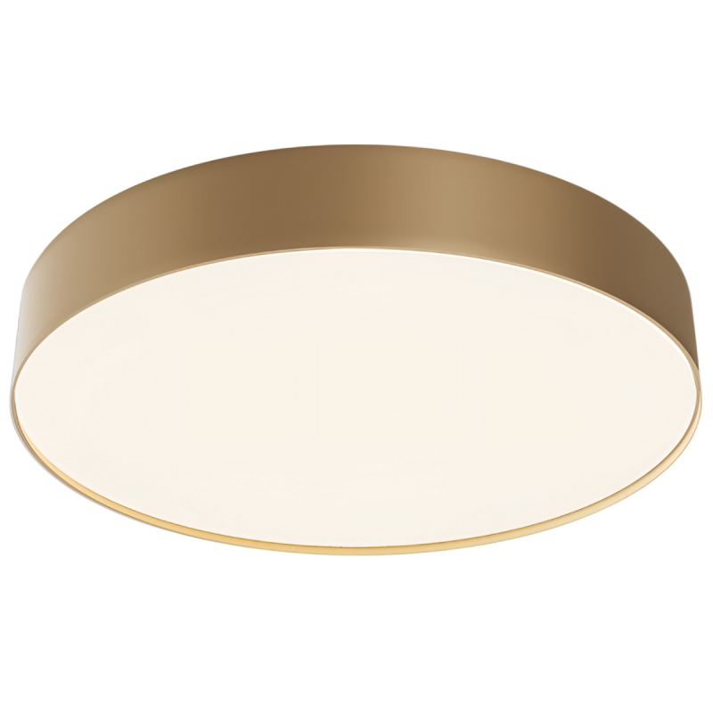 Потолочный светодиодный led светильник Maytoni Technical Ceiling Zon C032CL-45W4K-RD-MG