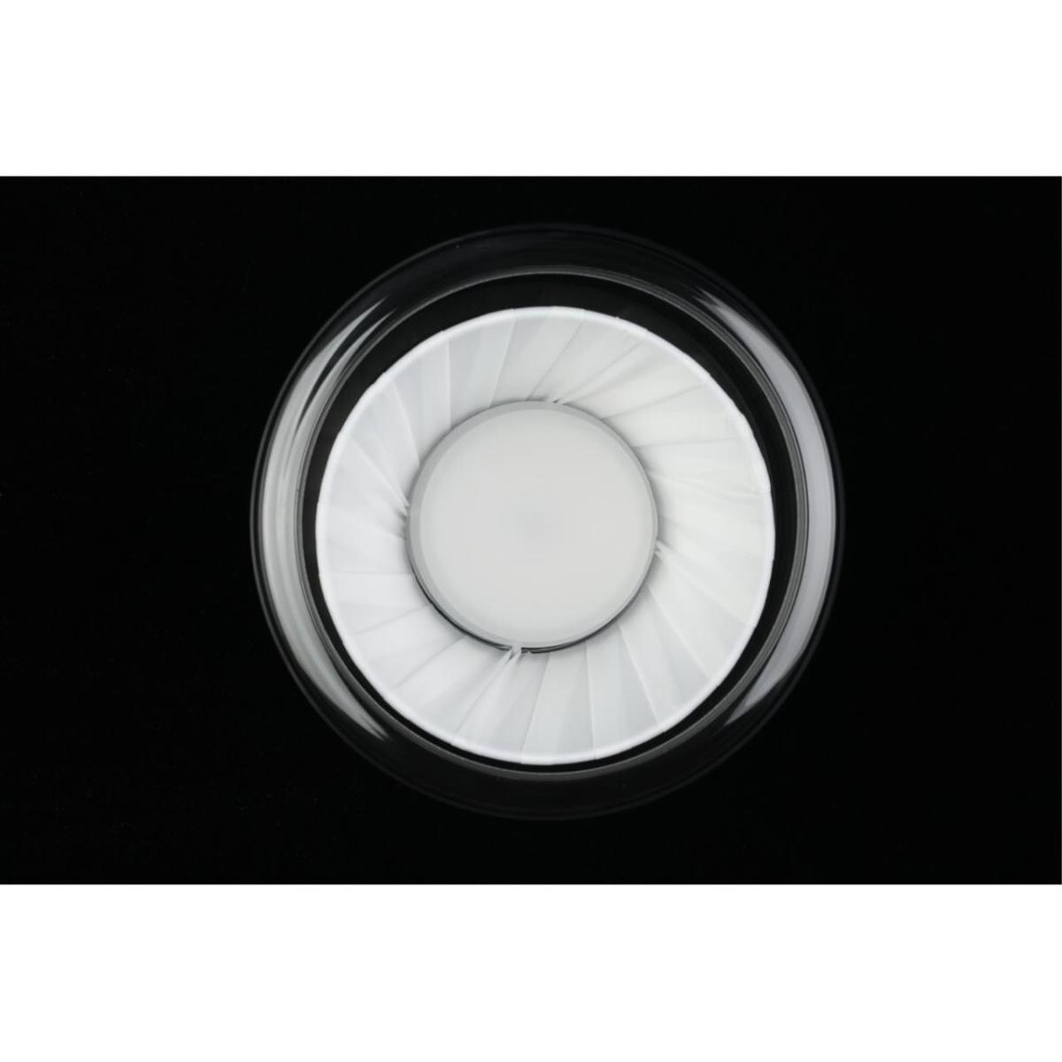 Потолочный светильник Aployt Zhyuli APL.089.27.08