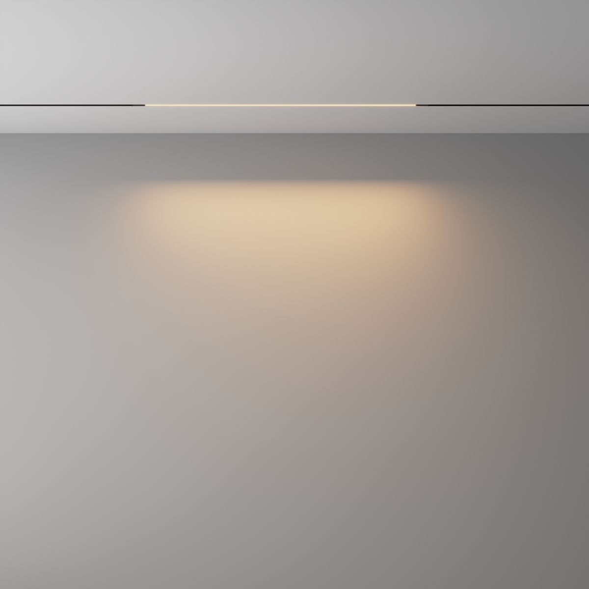 Трековый магнитный светильник Maytoni Technical Basis Exility X TR240-2-12W3K-B