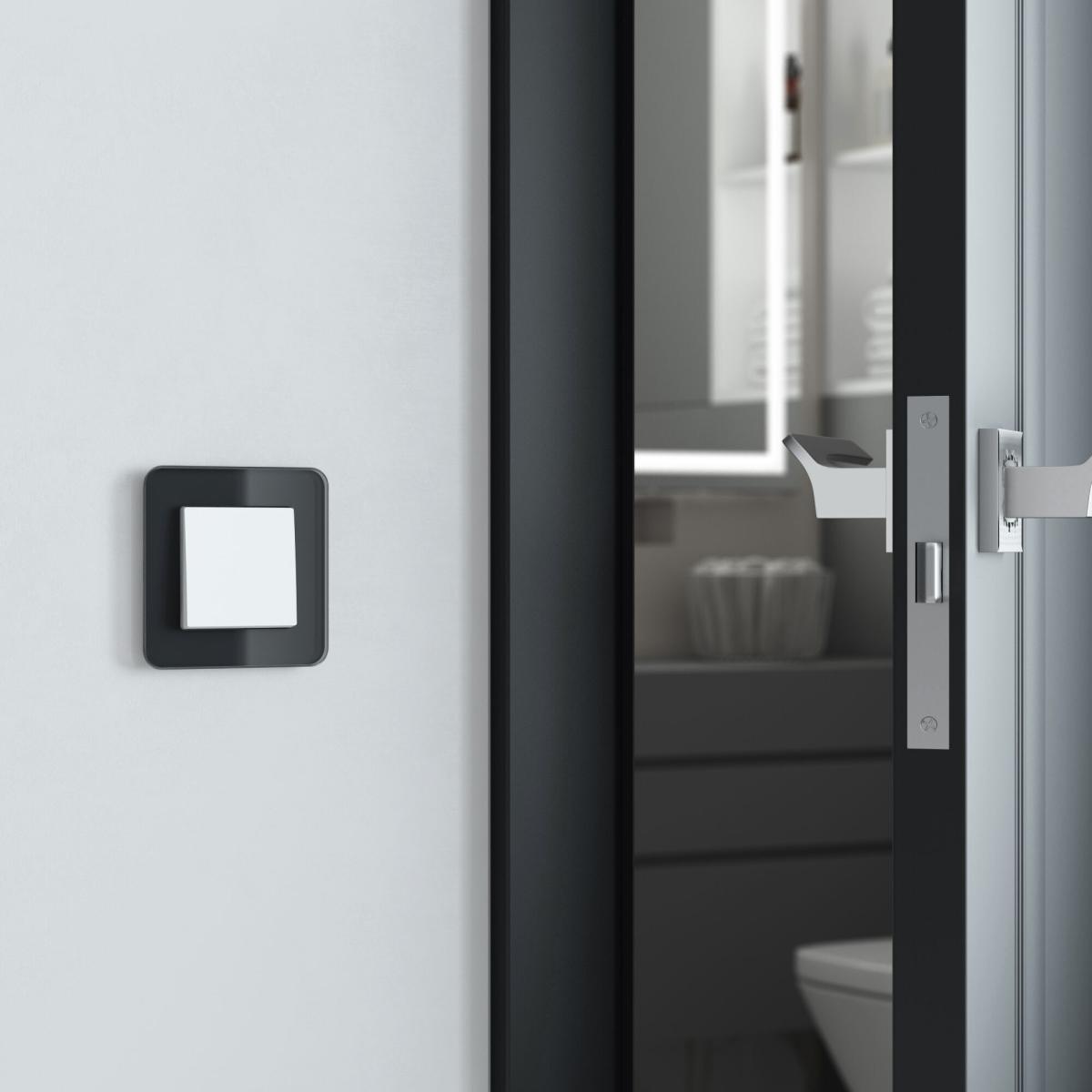 Рамка на 1 пост Werkel Elite W0012448 4690389196201 a063819