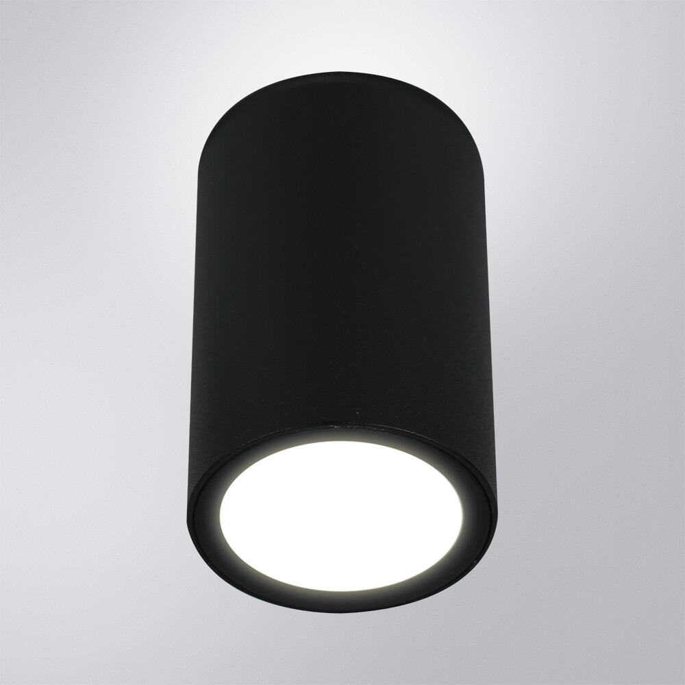 Уличный потолочный светильник Arte Lamp Torcular A1307PF-1BK