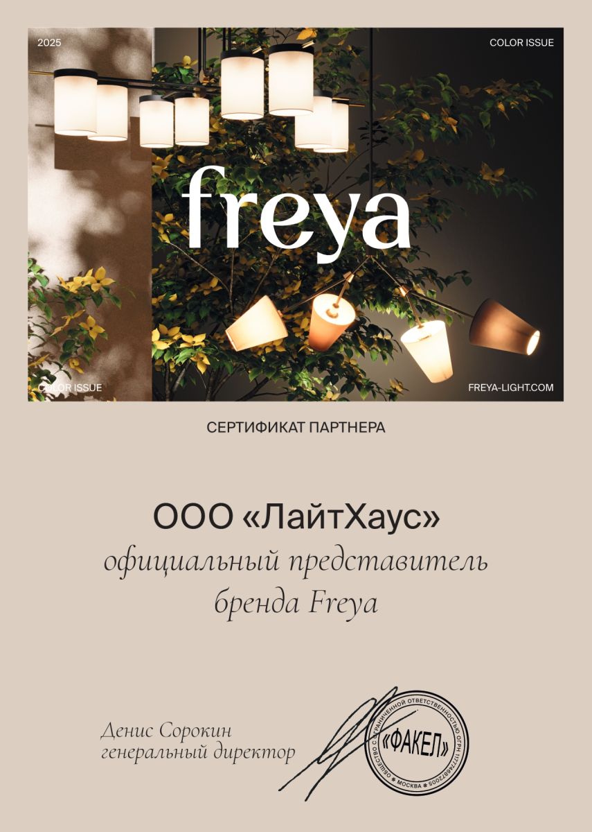 Потолочная люстра Freya Bogy FR5377CL-06B