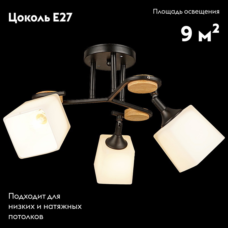 Потолочная люстра Reluce 04217-0.3-03 BK