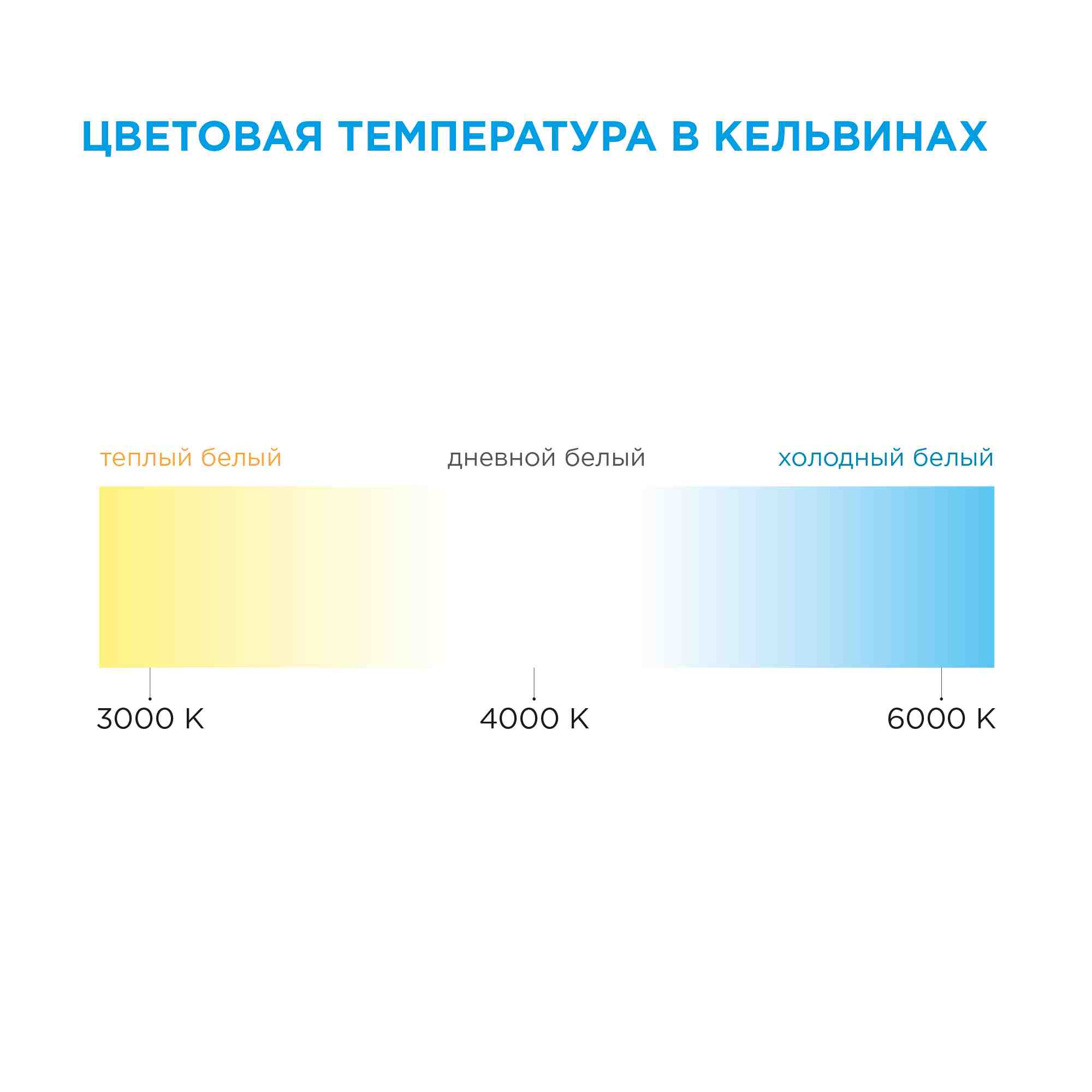 Комплект светодиодной ленты Apeyron 12В 4,8Вт/м smd3528, 60 д/м IP65 2,5м 6500K (блок, коннектор) 10-20