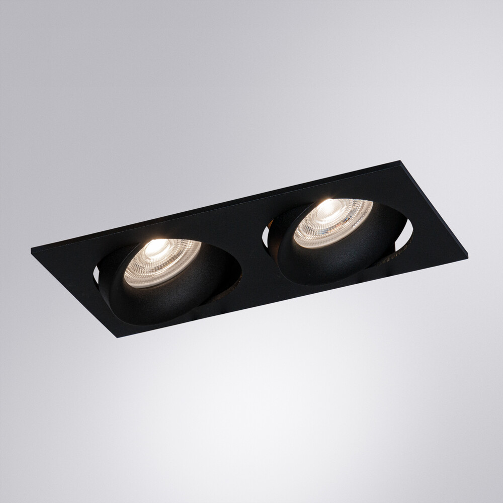Встраиваемый светильник Arte Lamp Kant A9610PL-2BK
