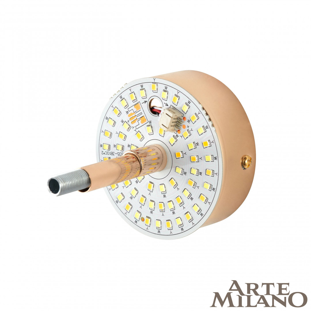 Настенный светильник Arte Milano 1.1252B.D150.H150.LED G