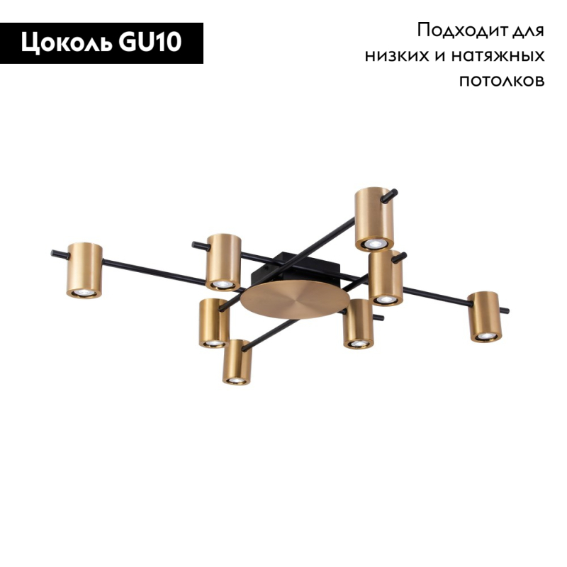 Потолочная люстра Aployt Elwisia APL.633.07.08